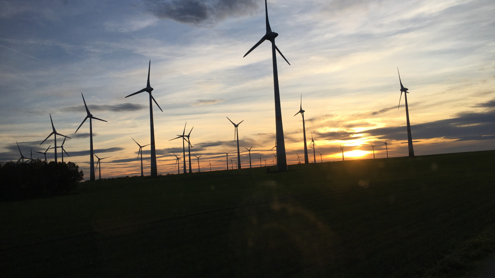 Feldheim Windräder Abendlicht