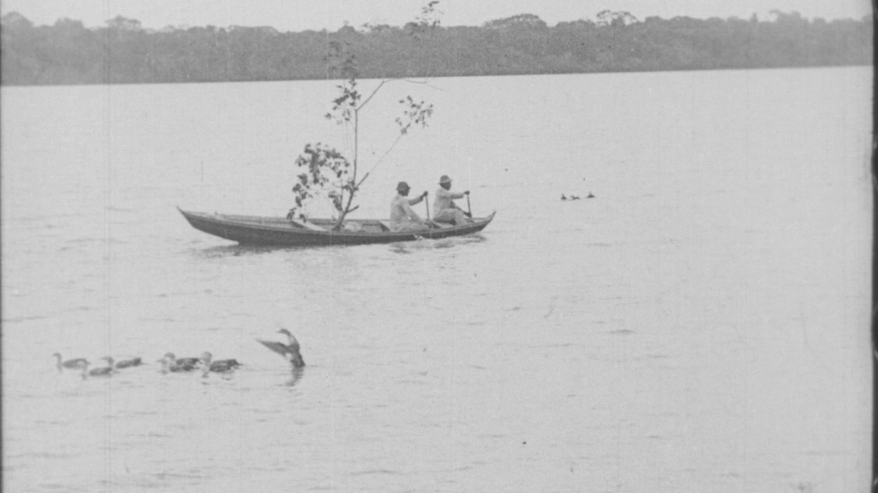 Amazonas - o maior Rio do Mundo